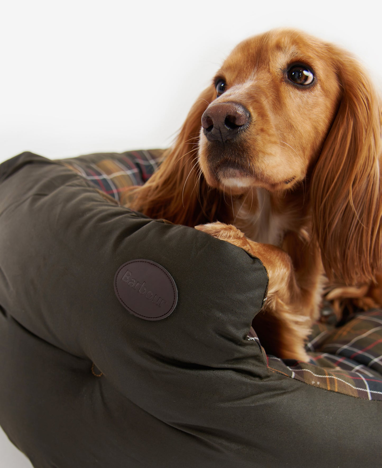 Barbour Wax/Cotton Dog Bed 35in