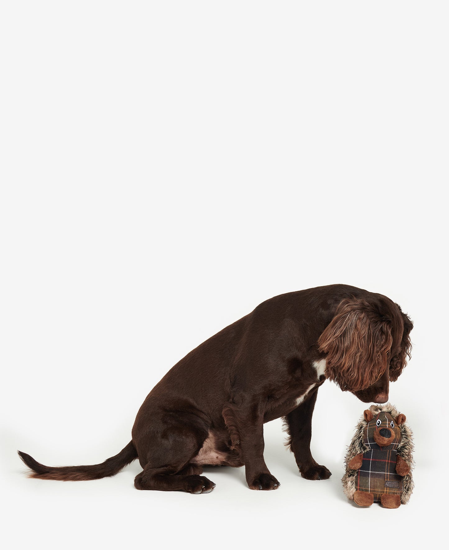 Barbour Hedgehog Dog Toy