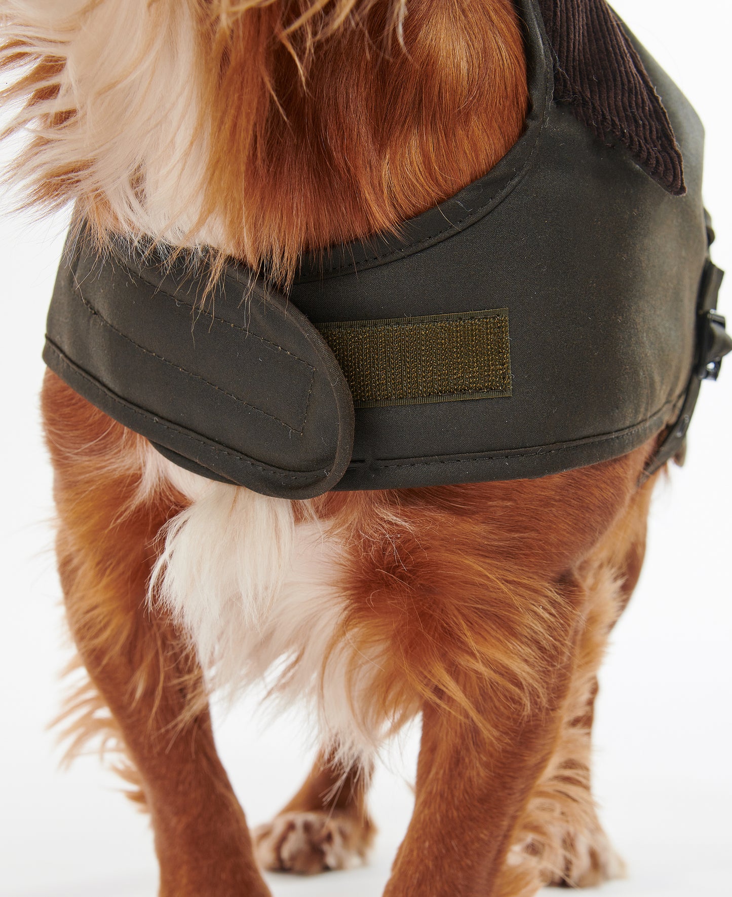 Barbour Wax Dog Coat