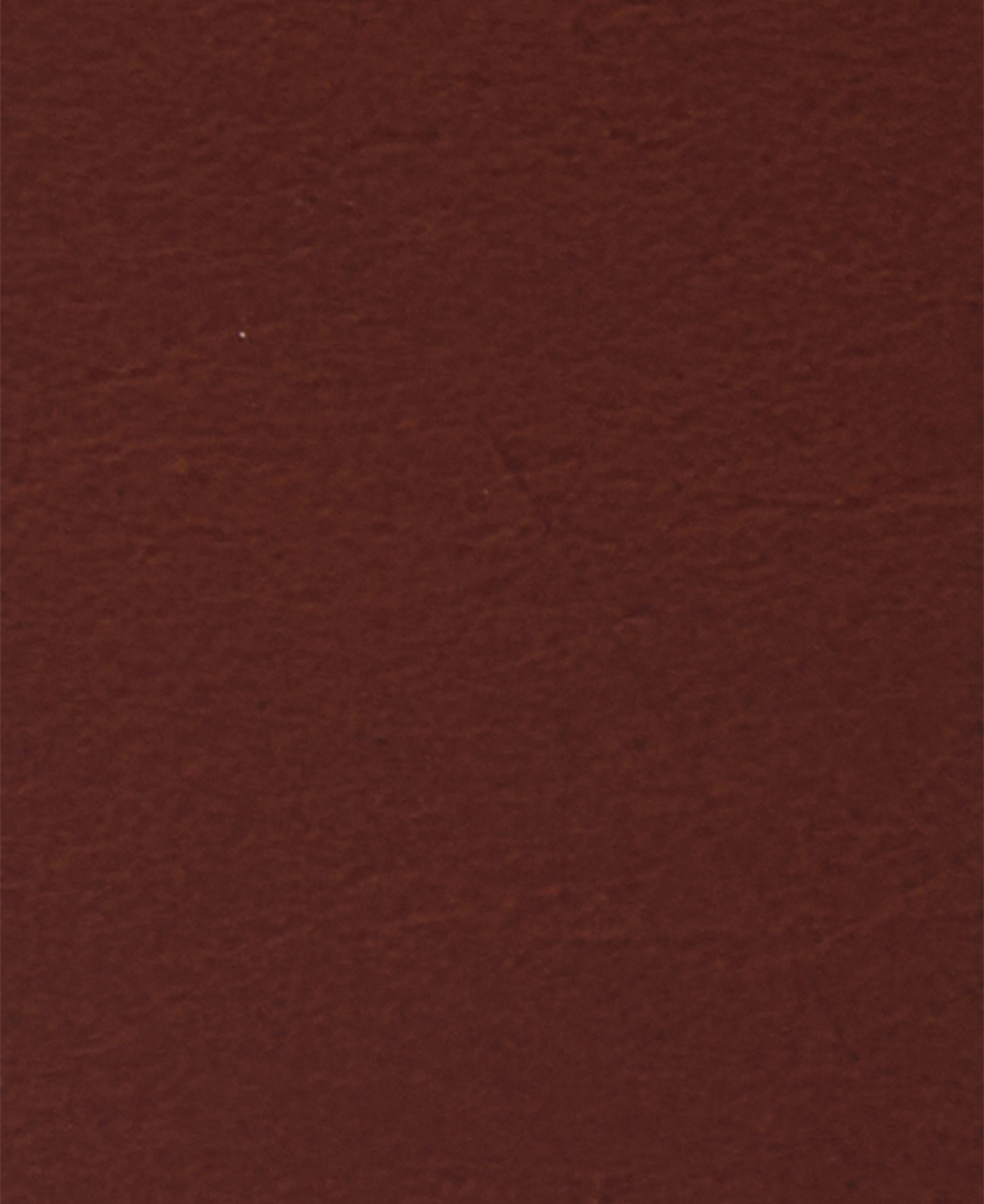 Barbour Allanton Leather Belt