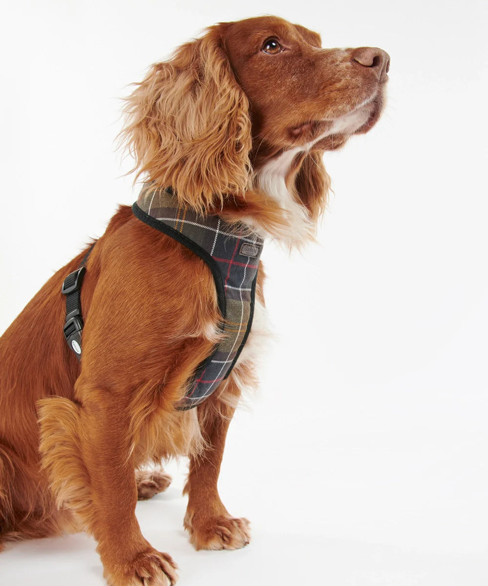 Dogs – Barbour NZ
