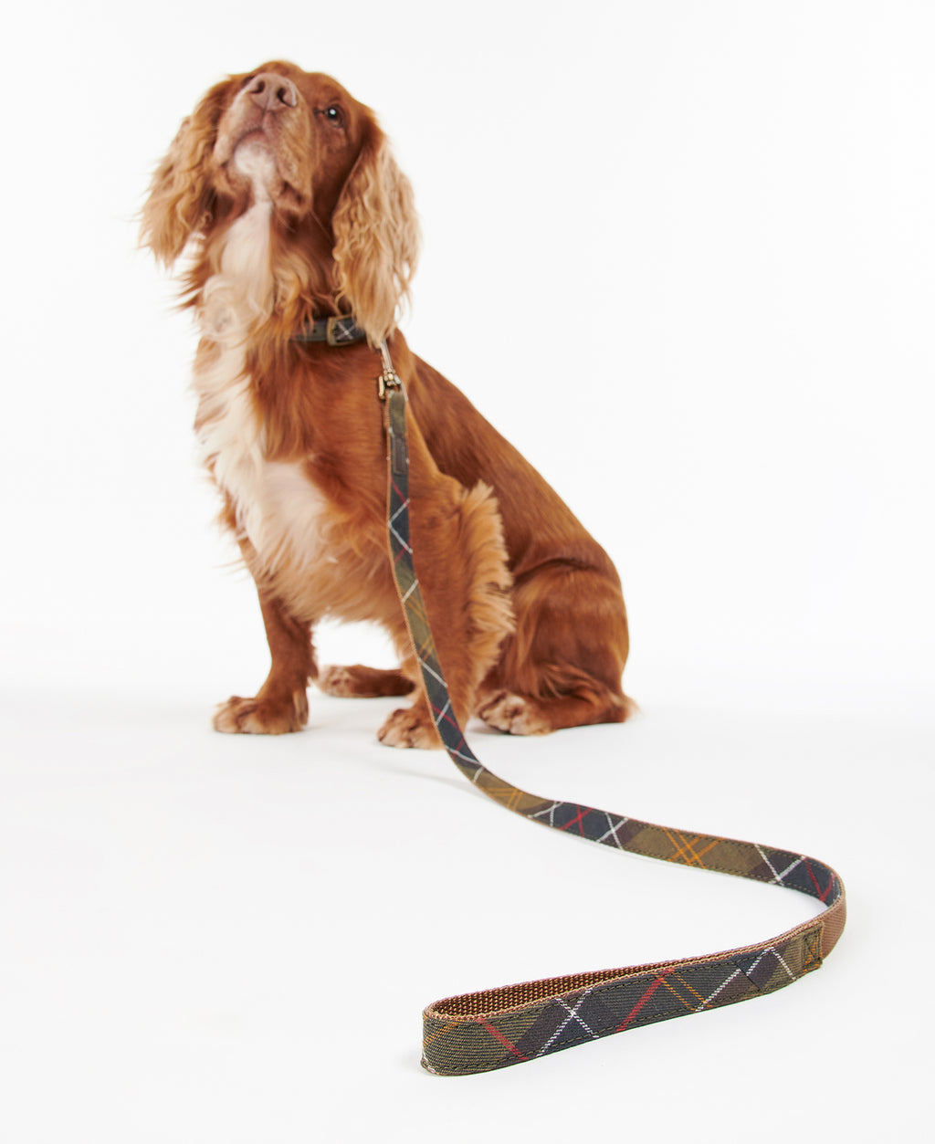 Barbour Tartan & Webbing Dog Lead
