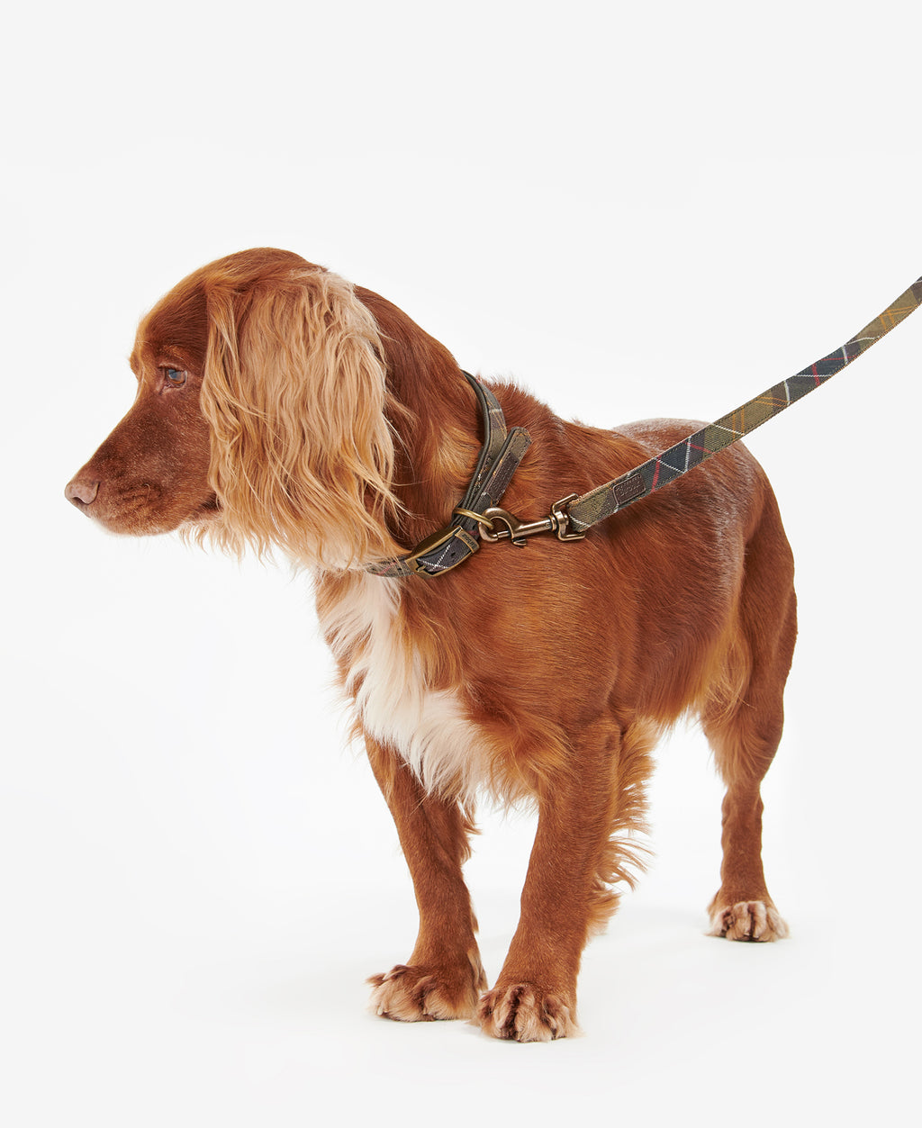 Barbour Tartan & Webbing Dog Lead