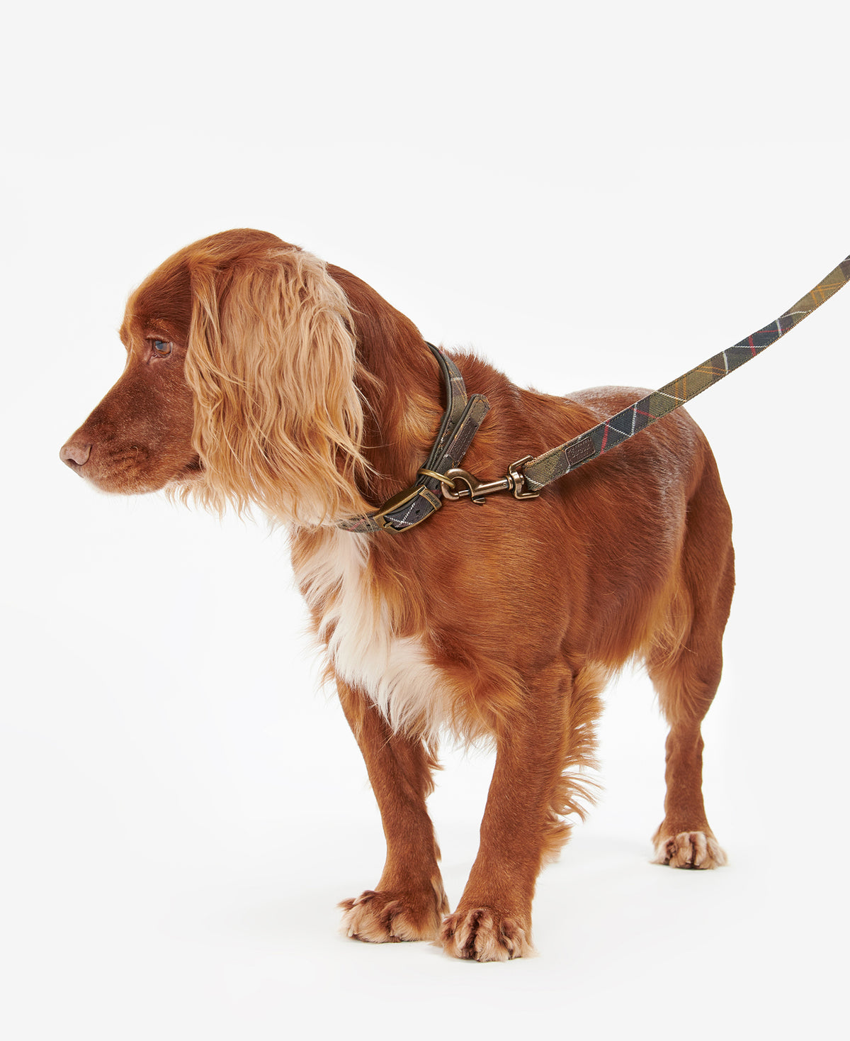 Barbour Tartan & Webbing Dog Lead