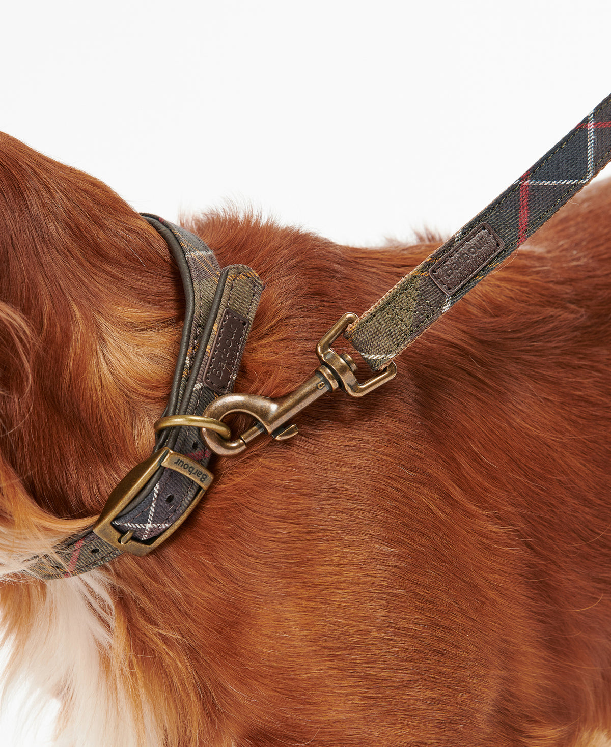 Barbour Tartan & Webbing Dog Lead