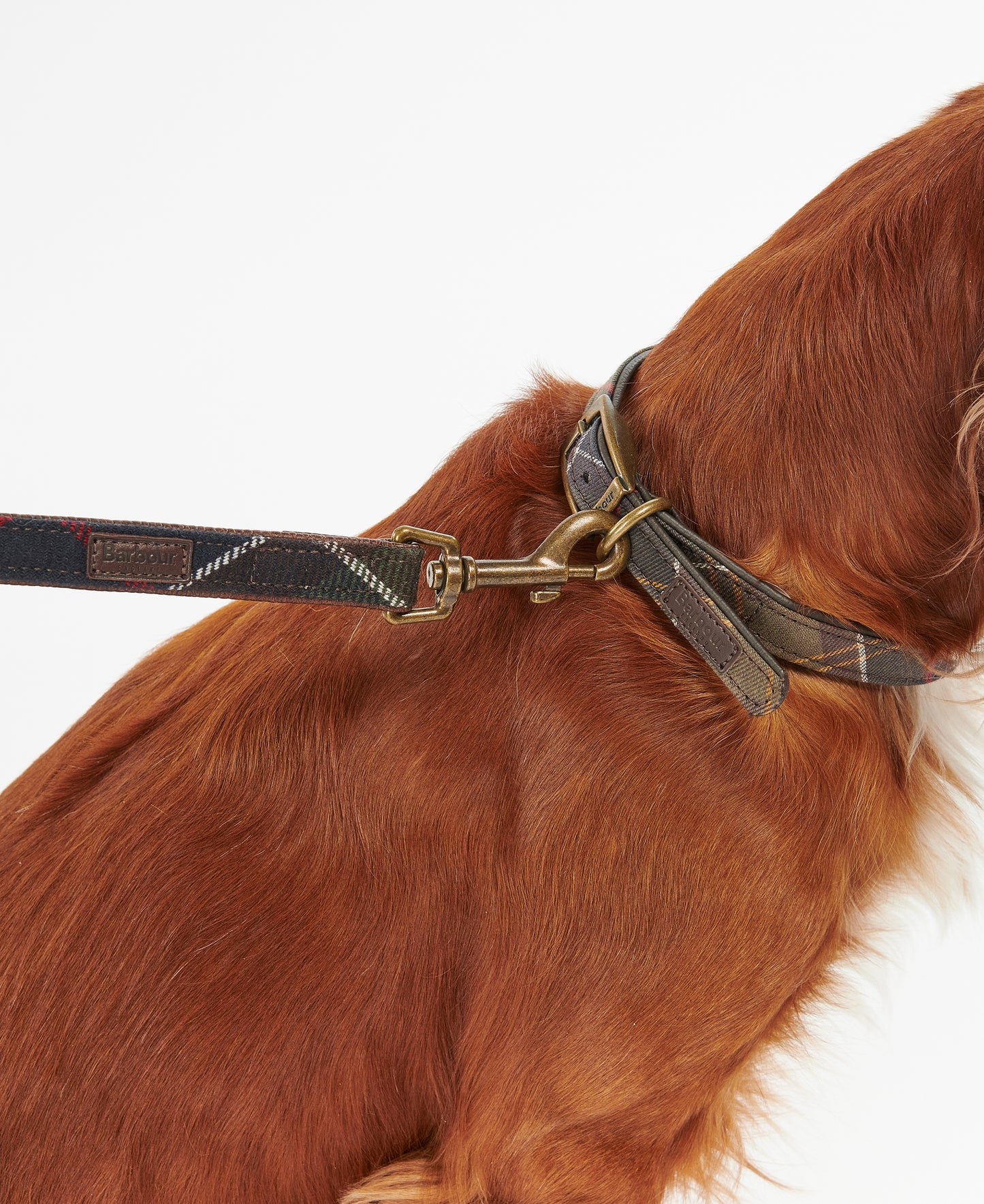 Barbour Tartan Dog Lead