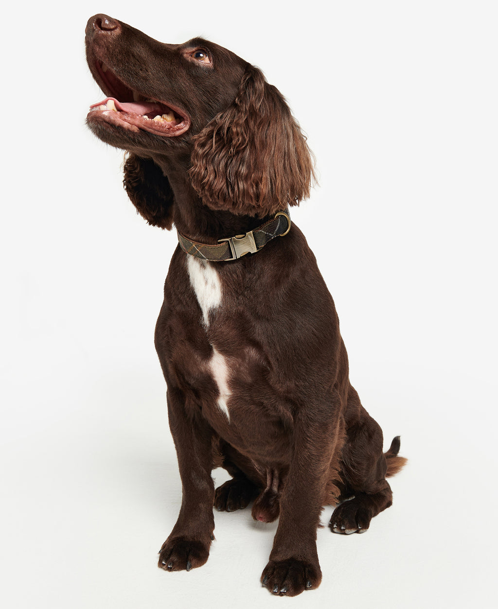 Barbour Reflective Tartan Dog Collar
