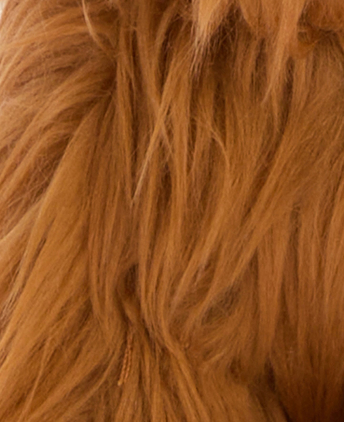 Barbour Dog Highland Cow Toy