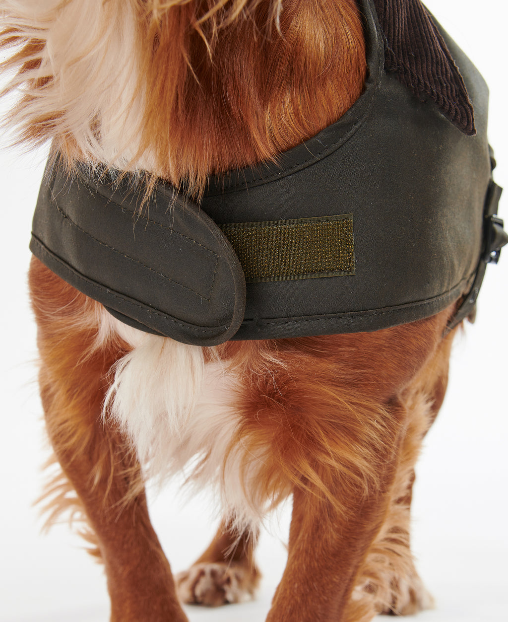 Barbour Wax Dog Coat