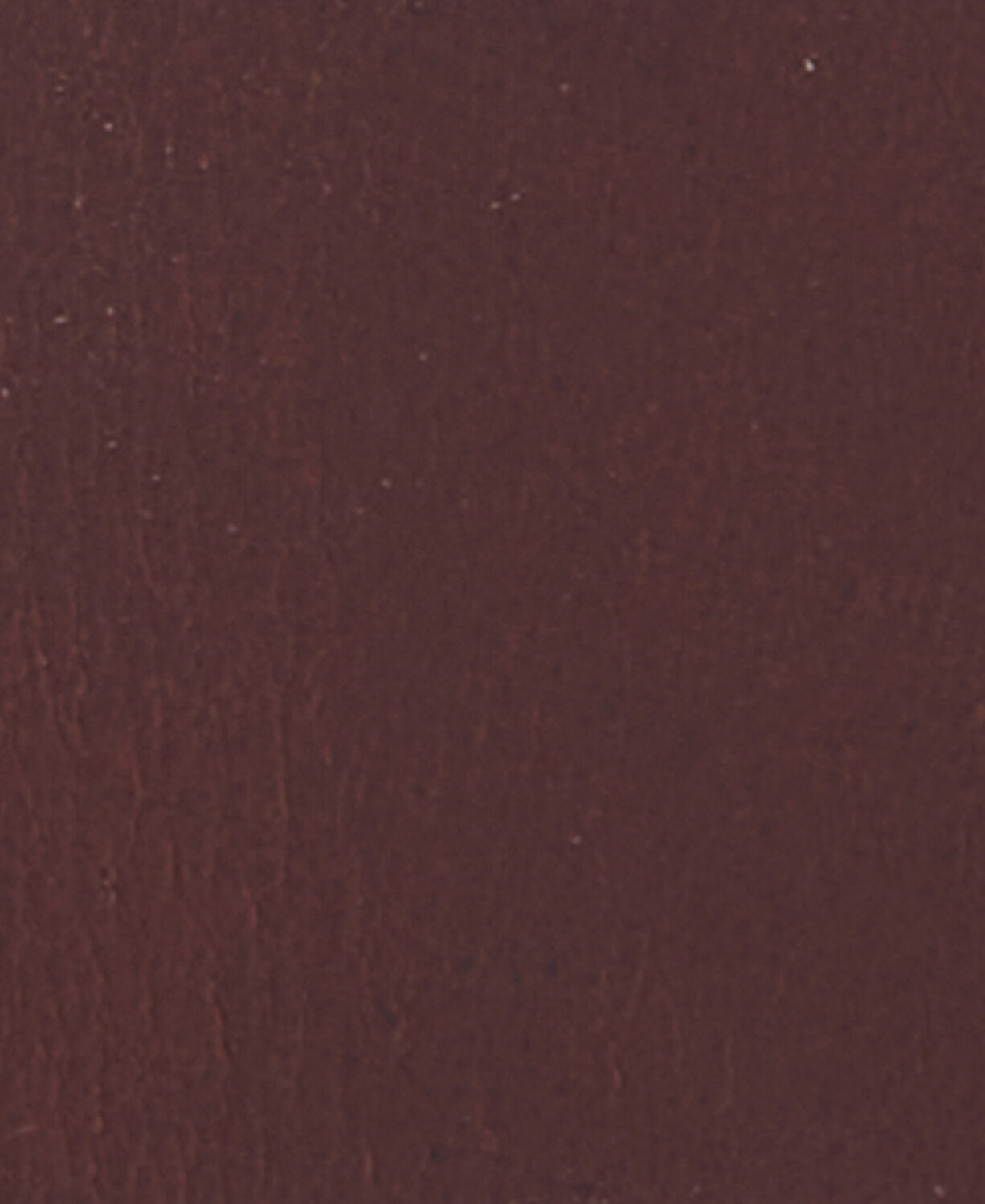 Barbour Allanton Leather Belt