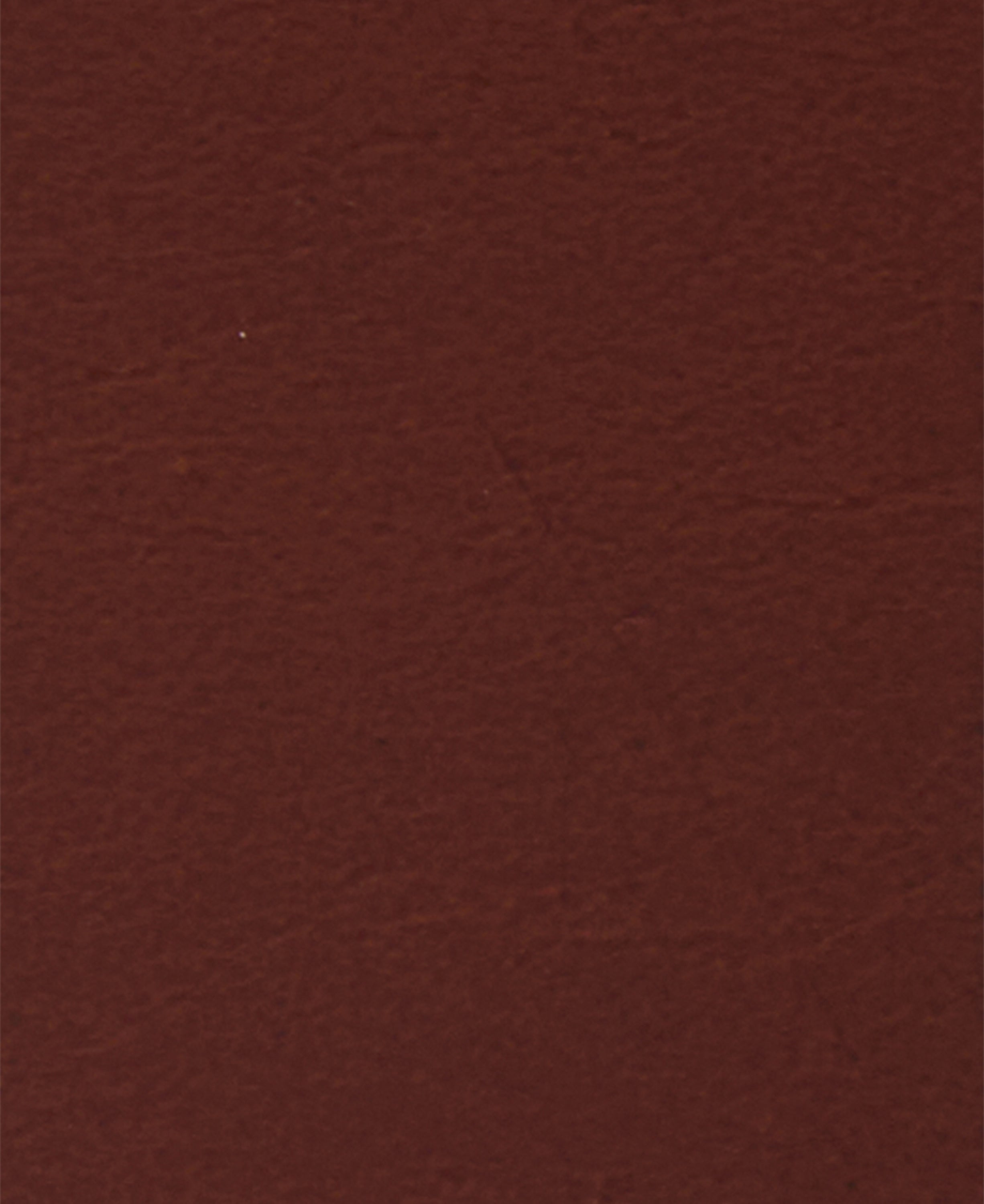 Barbour Allanton Leather Belt