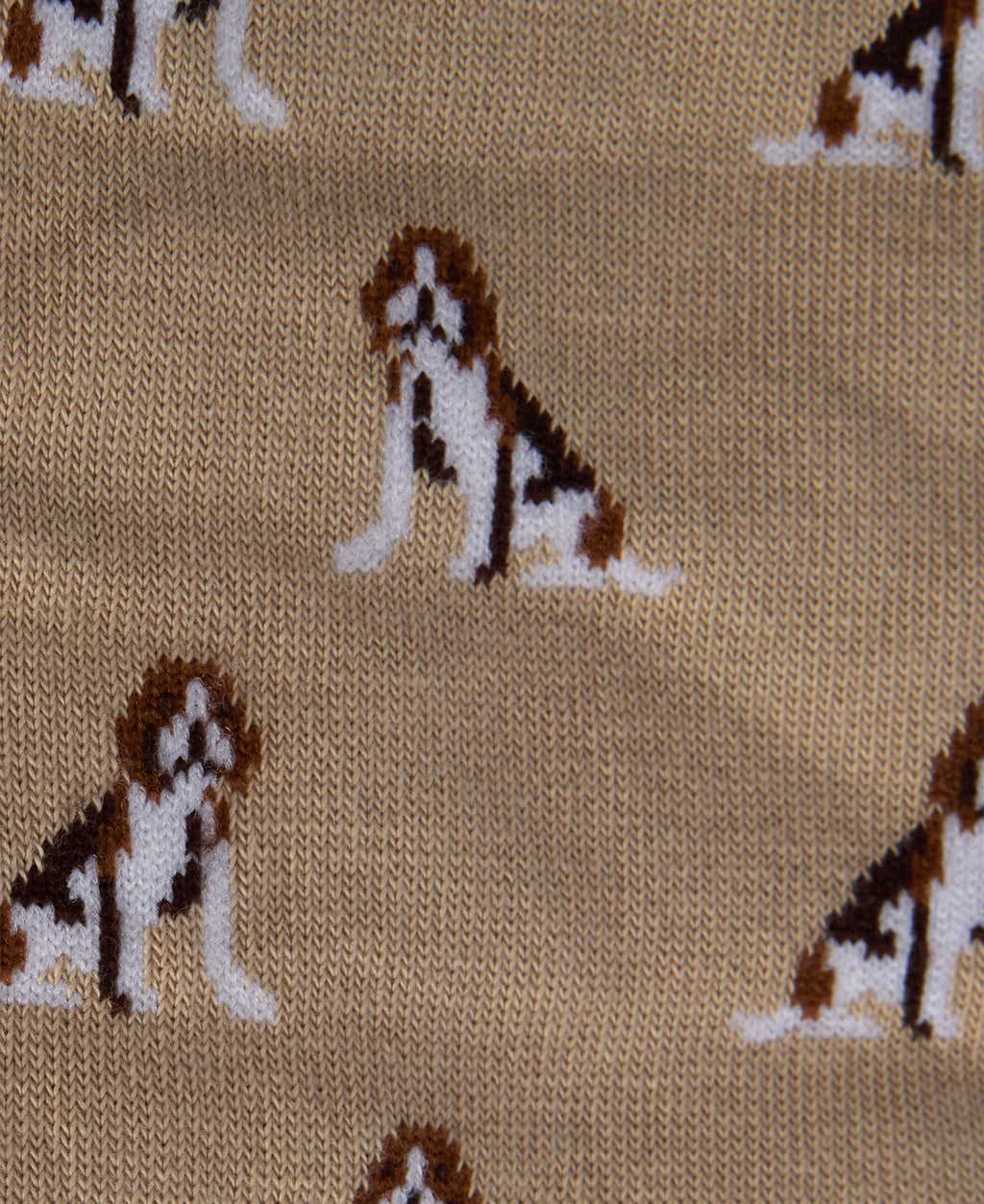 Barbour Beagle Dog Sock Set