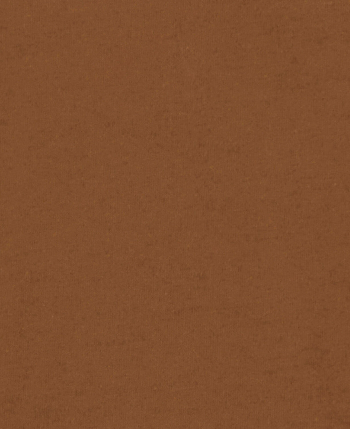 Barbour Parkend Photographic Relaxed T-Shirt